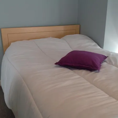 Rolling Wave 게스트하우스 3*